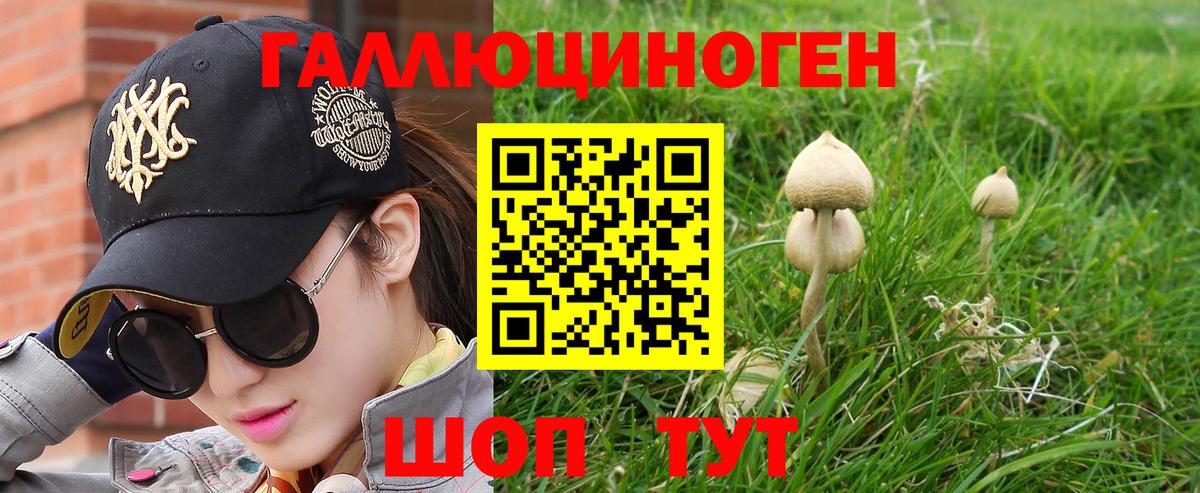 Псилоцибиновые грибы мицелий Лениногорск